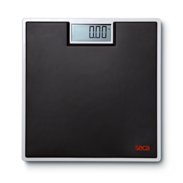 Modèle réduit 803 &quot;CLARA&quot; avec plate-forme noire par SECA